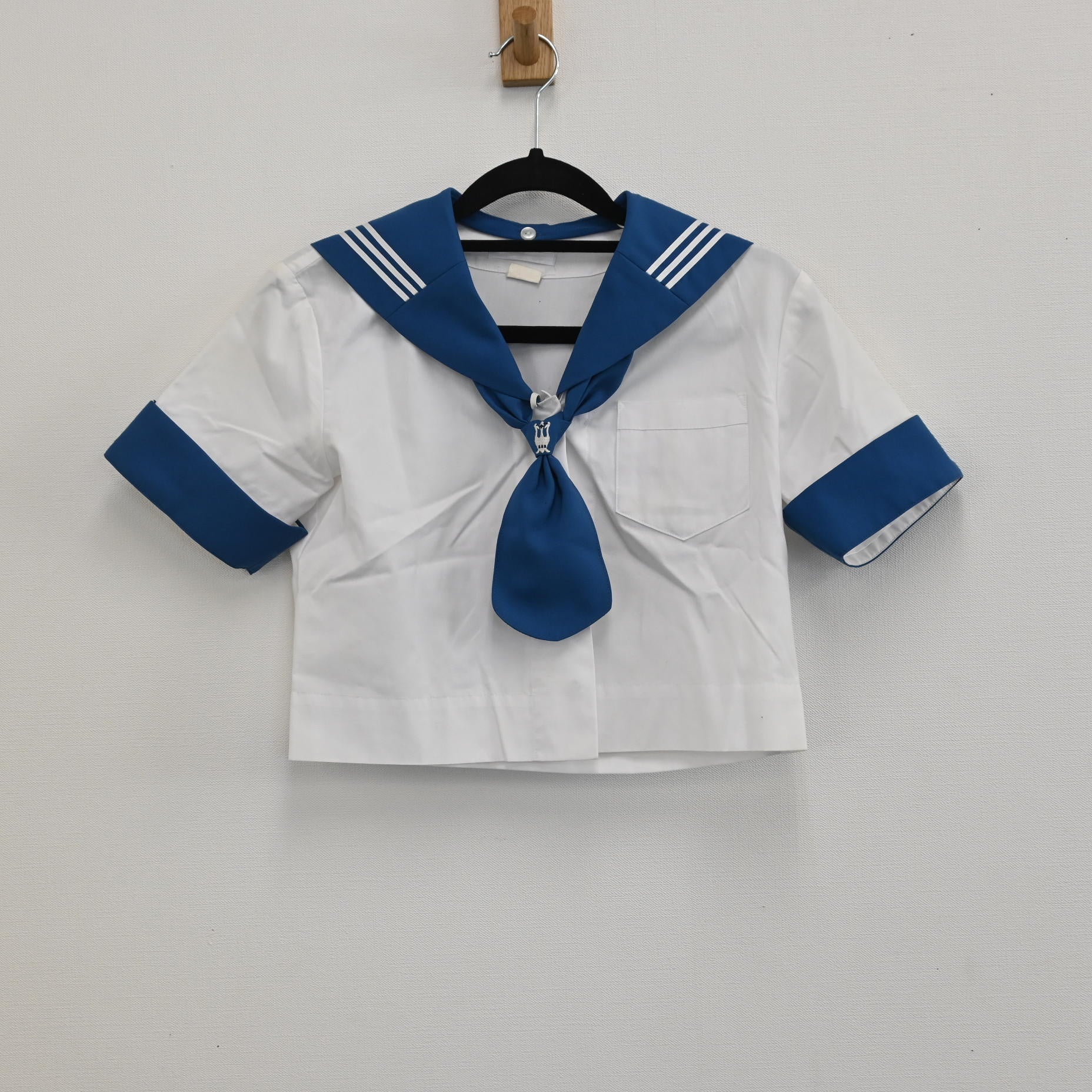 川村中学校・高等学校、川村学園小学校、旧川村学園短期大学