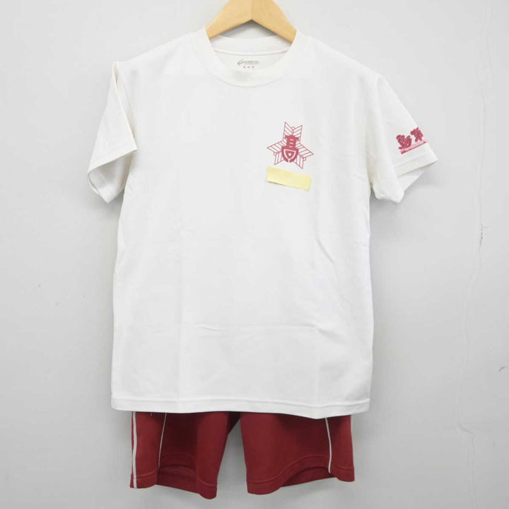 激レア　甲子園　鳥取西高校　公式戦ユニホーム 激レア 甲子園 鳥取西高校 公式戦ユニホーム 激レア 甲子園 鳥取西高校