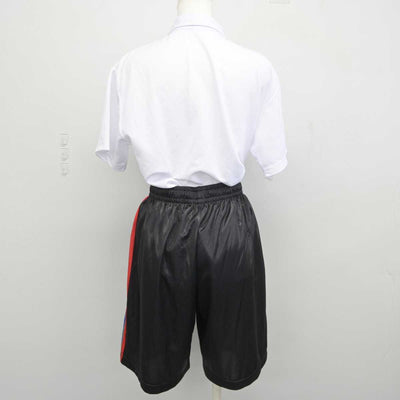 【中古】東京都 実践学園高等学校 女子制服 2点 (その他アイテム・その他アイテム) sf044977