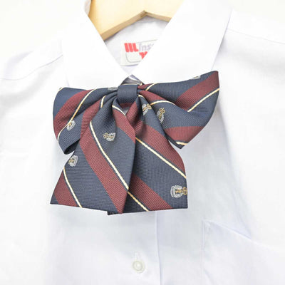 【中古】神奈川県 岩谷学園高等専修学校 女子制服 3点 (シャツ・スカート) sf050630