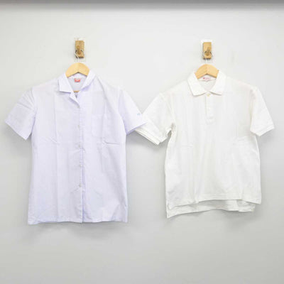 【中古】千葉県 芝浦工業大学柏中学校 女子制服 3点 (シャツ・シャツ・スカート) sf052186