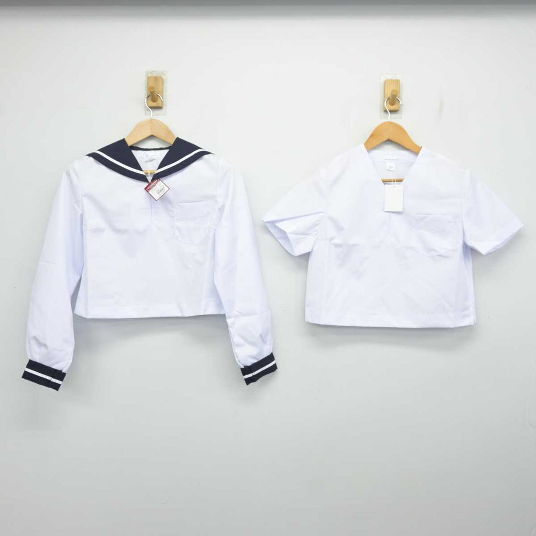 sf081578-01_1080x.jpg?v=1732340040