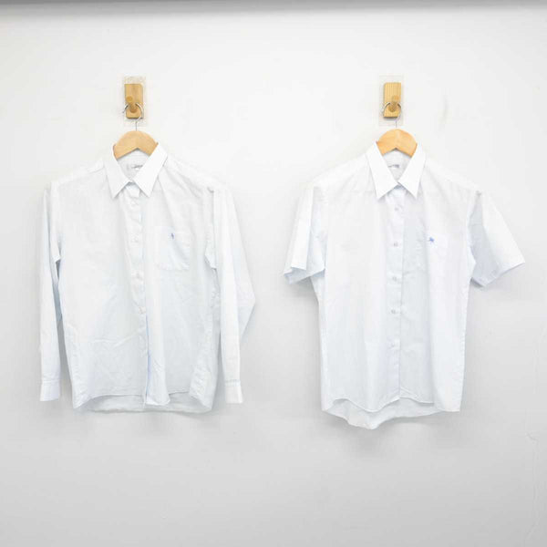 sf081970-01_grande.jpg?v=