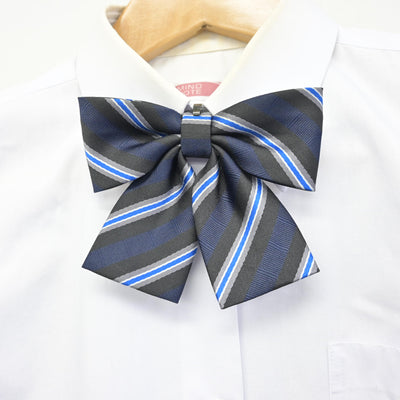 【中古】埼玉県 潮止中学校 女子制服 4点 (ブレザー・シャツ・スカート) sf090363