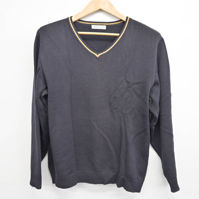 【中古】宮崎県 高城高等学校 女子制服 2点 (ニット・ニットベスト) sf090887