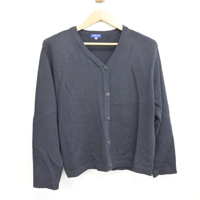 【中古】愛知県 桜花学園高等学校 女子制服 2点 (ニット・ニット) sf091287