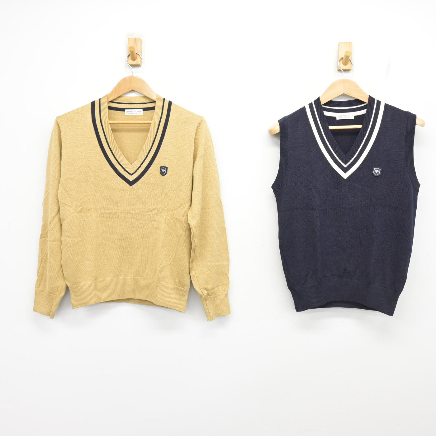 【中古】兵庫県 東洋大学附属姫路高等学校 女子制服 2点 (ニット・ニットベスト) sf091318