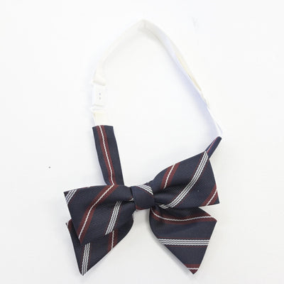 【中古】埼玉県 日高高等学校 女子制服 5点 (ブレザー・ニット・スカート) sf091635