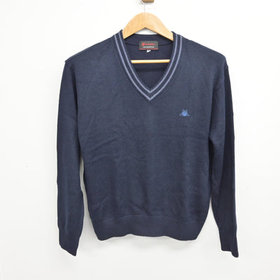 【中古】岡山県 岡山学芸館高校 女子制服 2点 (ニット・ニットベスト) sf091761