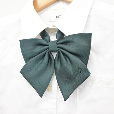 【中古】滋賀県 滋賀学園高等学校 女子制服 5点 (ブレザー・シャツ・スカート) sf091875