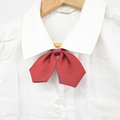 【中古】東京都 田園調布学園中等部/旧制服 女子制服 3点 (シャツ・スカート) sf091958