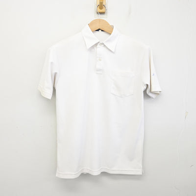 【中古】神奈川県 秦野曽屋高等学校 女子制服 2点 (シャツ・シャツ) sf093816