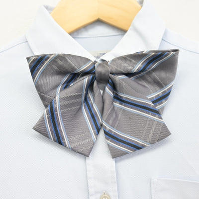 【中古】千葉県 船橋豊富高等学校 女子制服 3点 (ニット・シャツ) sf097784