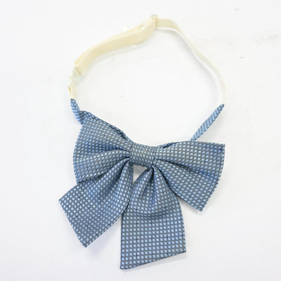 【中古】埼玉県 花咲徳栄高等学校 女子制服 3点 (ベスト・スカート) sf098062