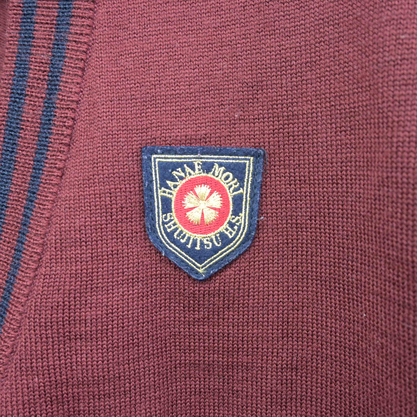 【中古】岡山県 就実高等学校　 女子制服 2点 (ニット・ニット) sf098124