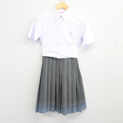 【中古】神奈川県 聖園女学院中学校・高等学校 女子制服 3点 (ニットベスト・シャツ・スカート) sf098202