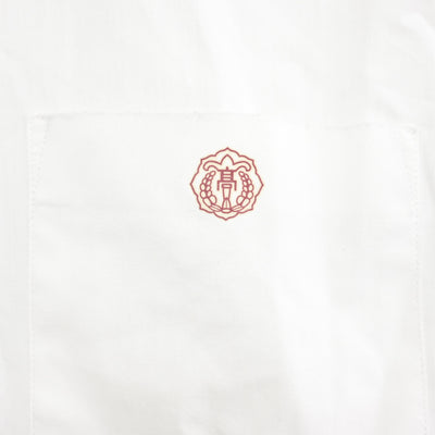 【中古】静岡県 藤枝西高等学校 女子制服 4点 (ブレザー・シャツ・スカート) sf098403