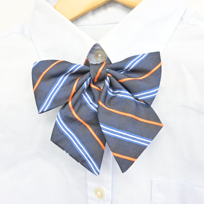【中古】神奈川県 立花学園高等学校 女子制服 4点 (ブレザー・シャツ・スカート) sf098449