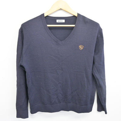 【中古】神奈川県 立花学園高等学校 女子制服 2点 (ニット・ニットベスト) sf098450