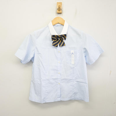 【中古】兵庫県 神港橘高等学校 女子制服 3点 (シャツ・スカート) sf099211