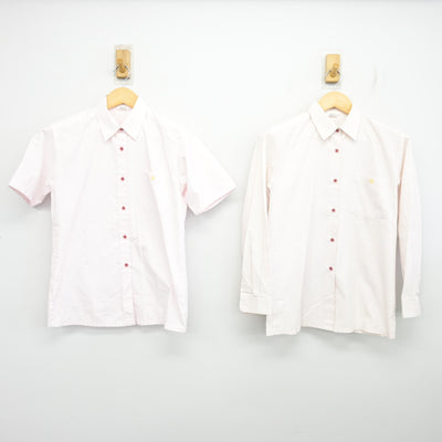 【中古】静岡県 日本大学三島高等学校・中学校/旧制服 女子制服 2点 (シャツ) sf100114