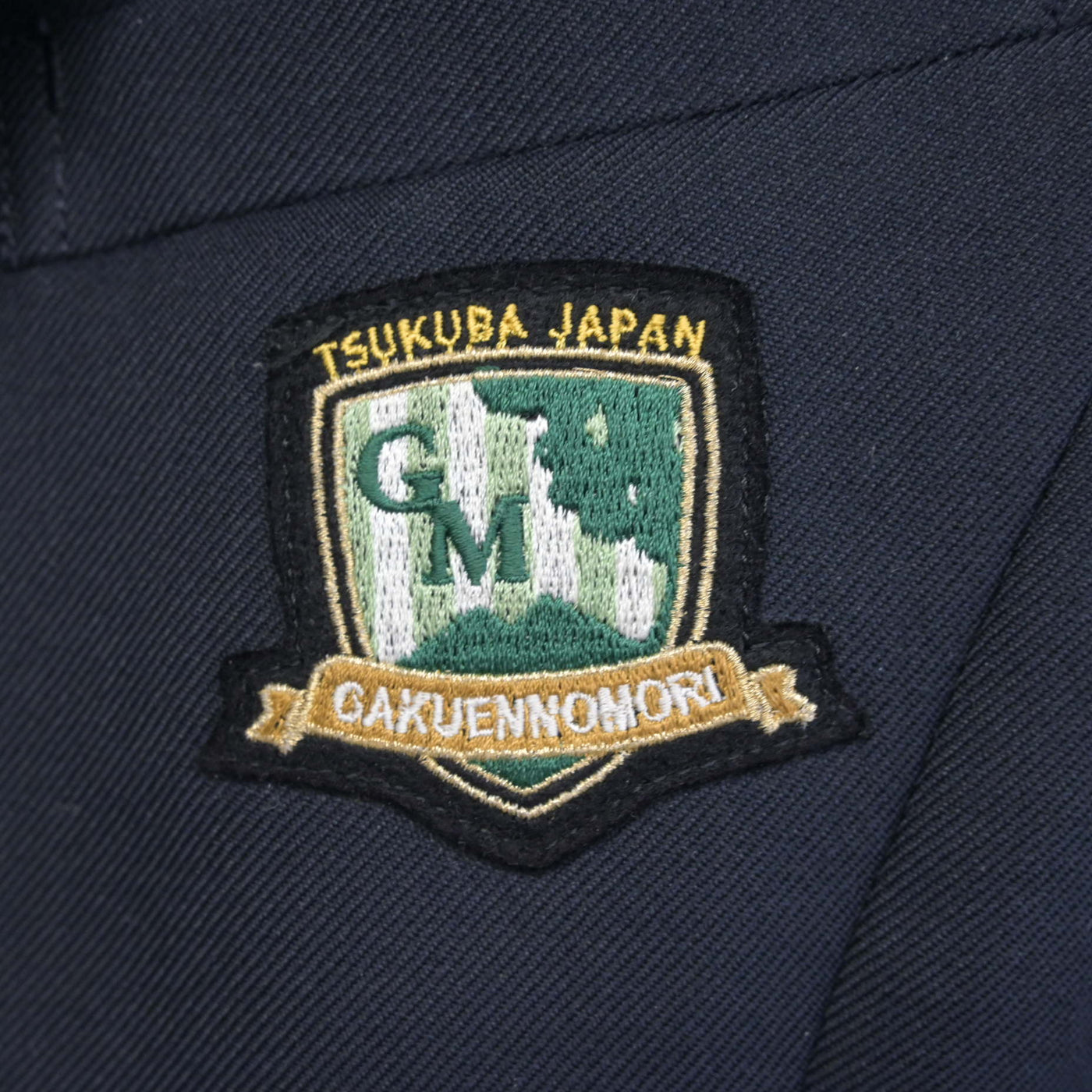 【中古】茨城県 つくば市立学園の森義務教育学校 女子制服 5点 (ブレザー・スカート) sf100292