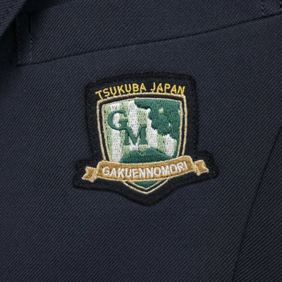 【中古】茨城県 つくば市立学園の森義務教育学校 女子制服 4点 (ブレザー・スカート) sf100293