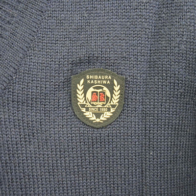 【中古】千葉県 芝浦工業大学柏中学高等学校 女子制服 2点 (ニット・スカート) sf100455