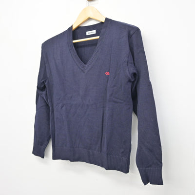 【中古】千葉県 市川南高等学校 女子制服 2点 (ニット) sf101026