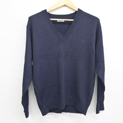 【中古】神奈川県 麻布大学附属高等学校 女子制服 2点 (ニット・ニットベスト) sf101048