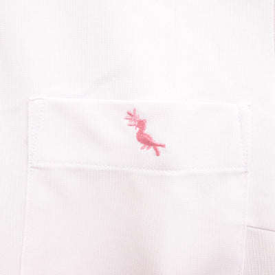 【中古】鹿児島県 神村学園高等部 女子制服 2点 (シャツ・スカート) sf101441