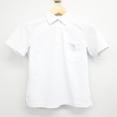 【中古】鹿児島県 神村学園高等部 女子制服 2点 (シャツ・スカート) sf101442