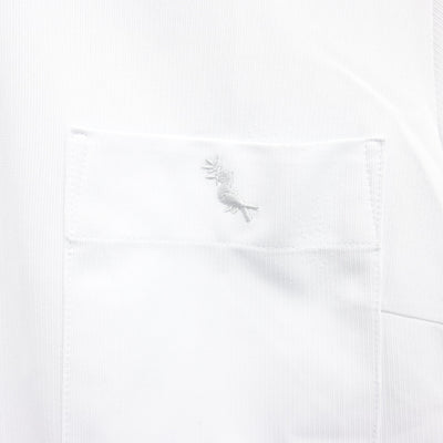 【中古】鹿児島県 神村学園高等部 女子制服 2点 (シャツ・スカート) sf101442