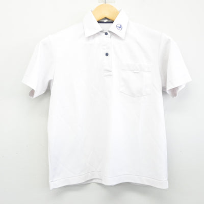【中古】大阪府 白鷺中学校 女子制服 2点 (シャツ) sf101618