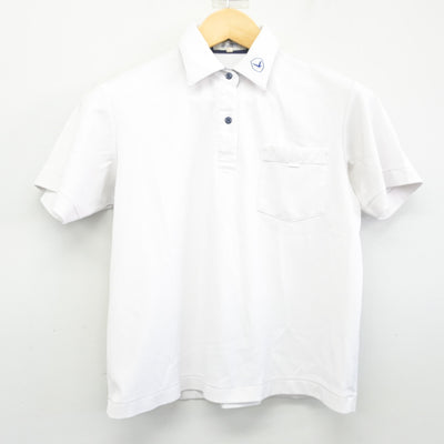 【中古】大阪府 白鷺中学校 女子制服 3点 (ニットベスト・シャツ・スカート) sf101620