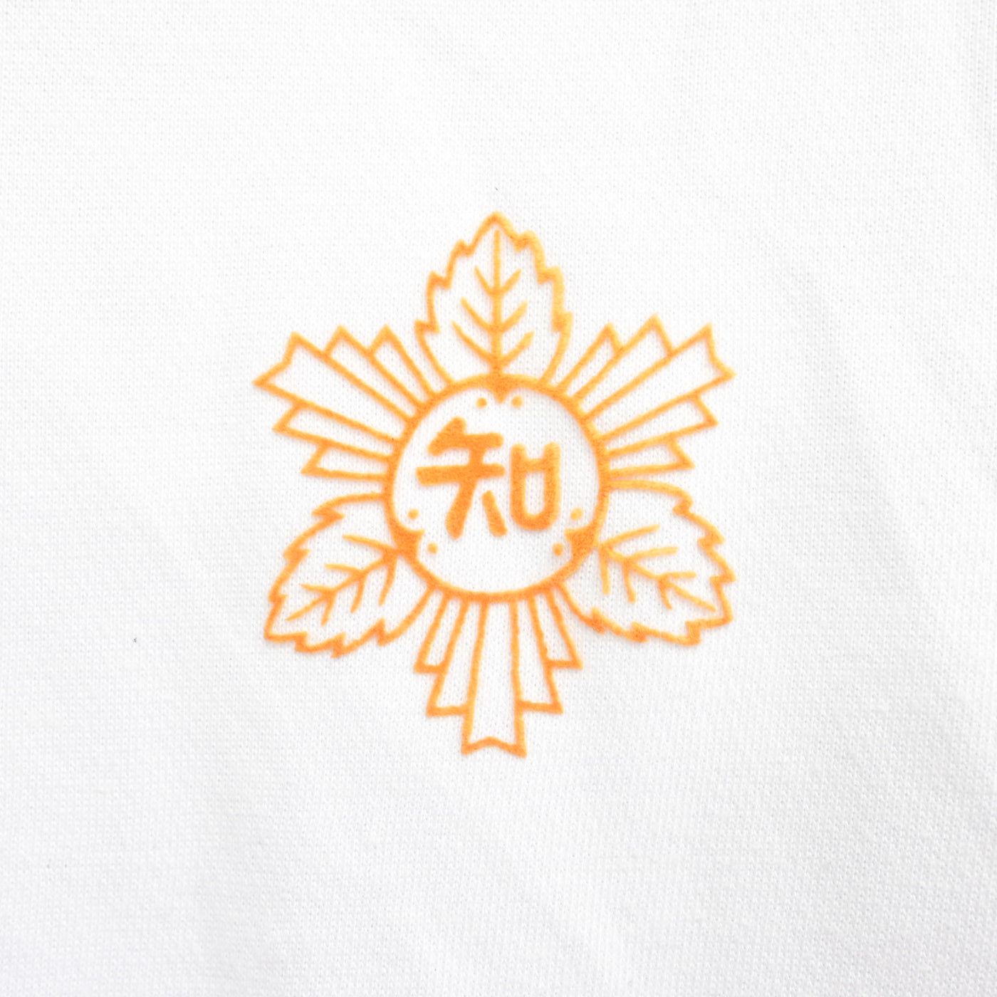 【中古】熊本県 不知火小学校 女子制服 2点 (体操服 上・体操服 上) sf102141