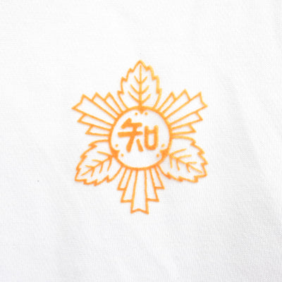 【中古】熊本県 不知火小学校 女子制服 2点 (体操服 上・体操服 上) sf102141