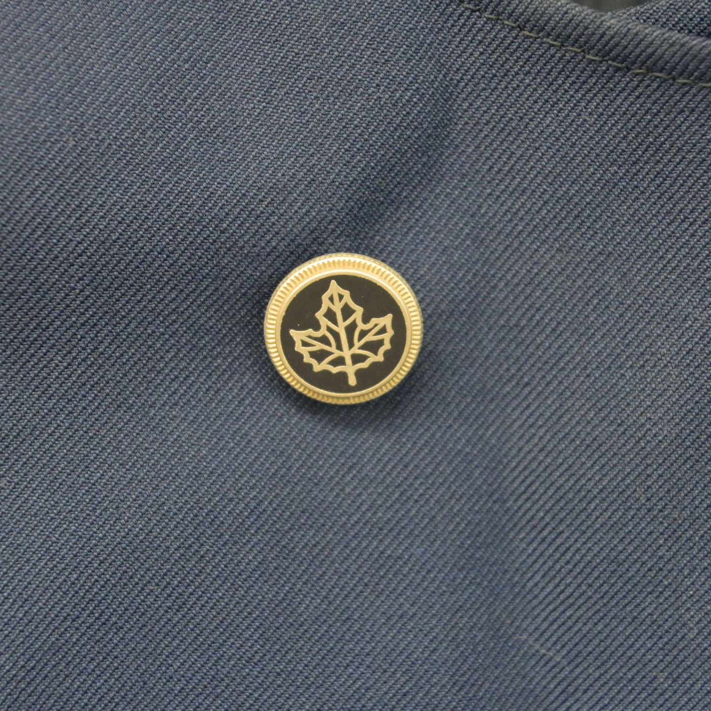 【中古】埼玉県 狭山経済高等学校 女子制服 1点 (ベスト) sf102463