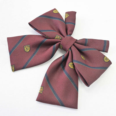 【中古】大阪府 常翔学園高等学校 女子制服 3点 (ブレザー・スカート) sf102596