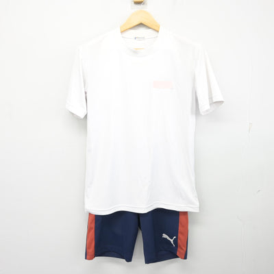 【中古】神奈川県 藤塚中学校 女子制服 2点 (体操服 上・体操服 下) sf103387