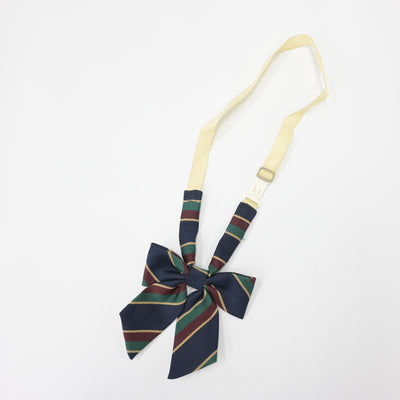 【中古】兵庫県 三田祥雲館高校 女子制服 4点 (ブレザー・スカート・スカート) sf103426