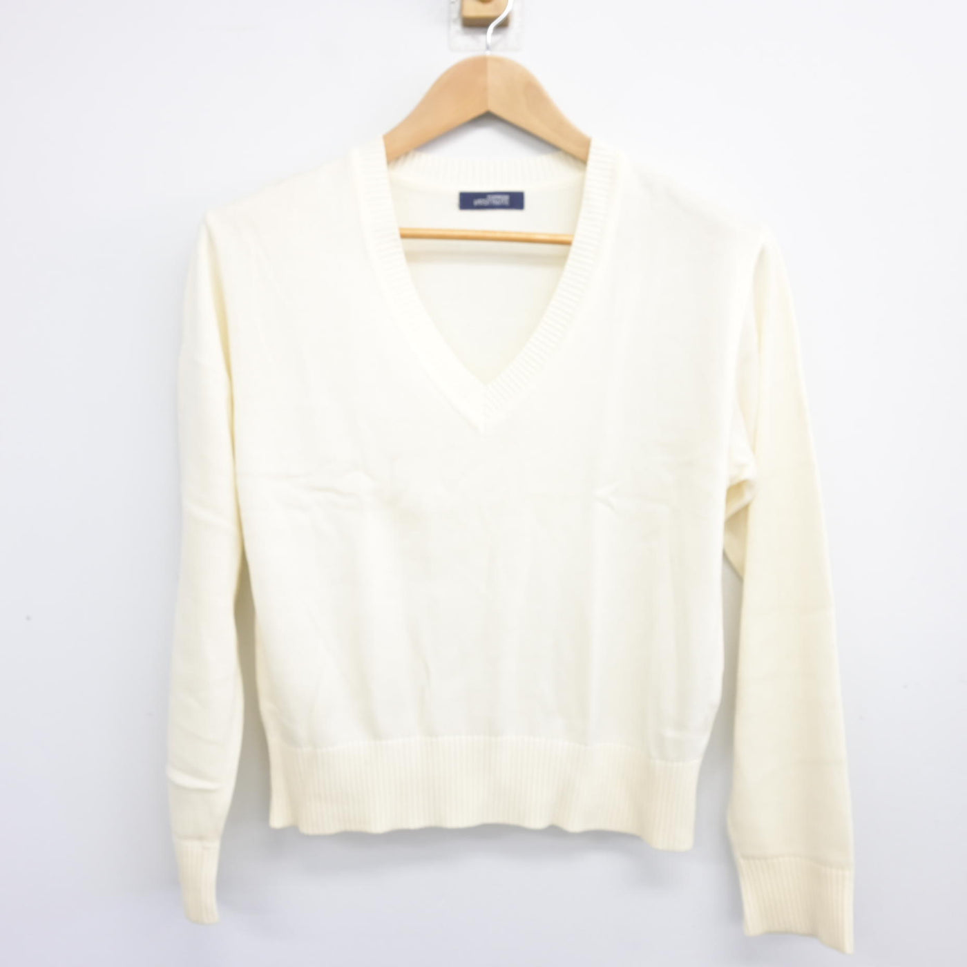 【中古】東京都 富士見中学校 女子制服 2点 (ニット・ニット) sf103706