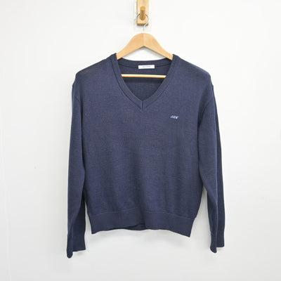 【中古】埼玉県 伊奈学園総合高等学校 女子制服 2点 (ニットベスト・ニット) sf103933