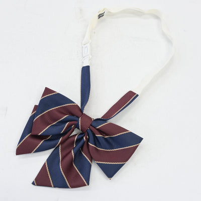 【中古】島根県 石見智翠館高等学校 女子制服 3点 (ブレザー・スカート) sf104012