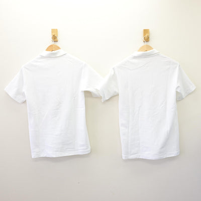 【中古】兵庫県 北神戸中学校 女子制服 2点 (シャツ) sf110342