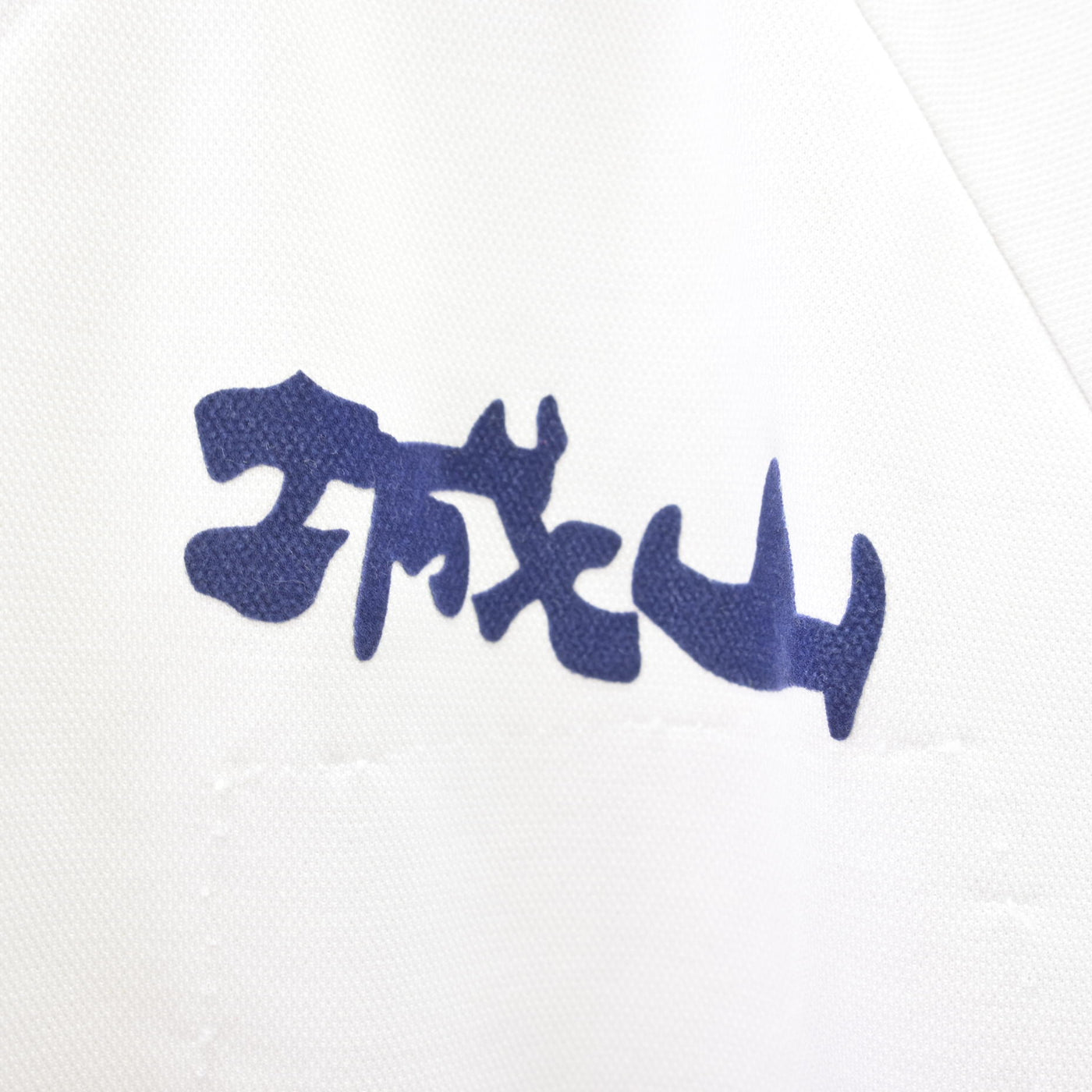 【中古】愛知県 城山中学校 女子制服 2点 (体操服 上・体操服 下) sf110622