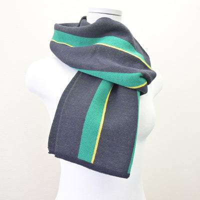 【中古】東京都 上野学園高等学校 女子制服 1点 (・マフラー) sf113978