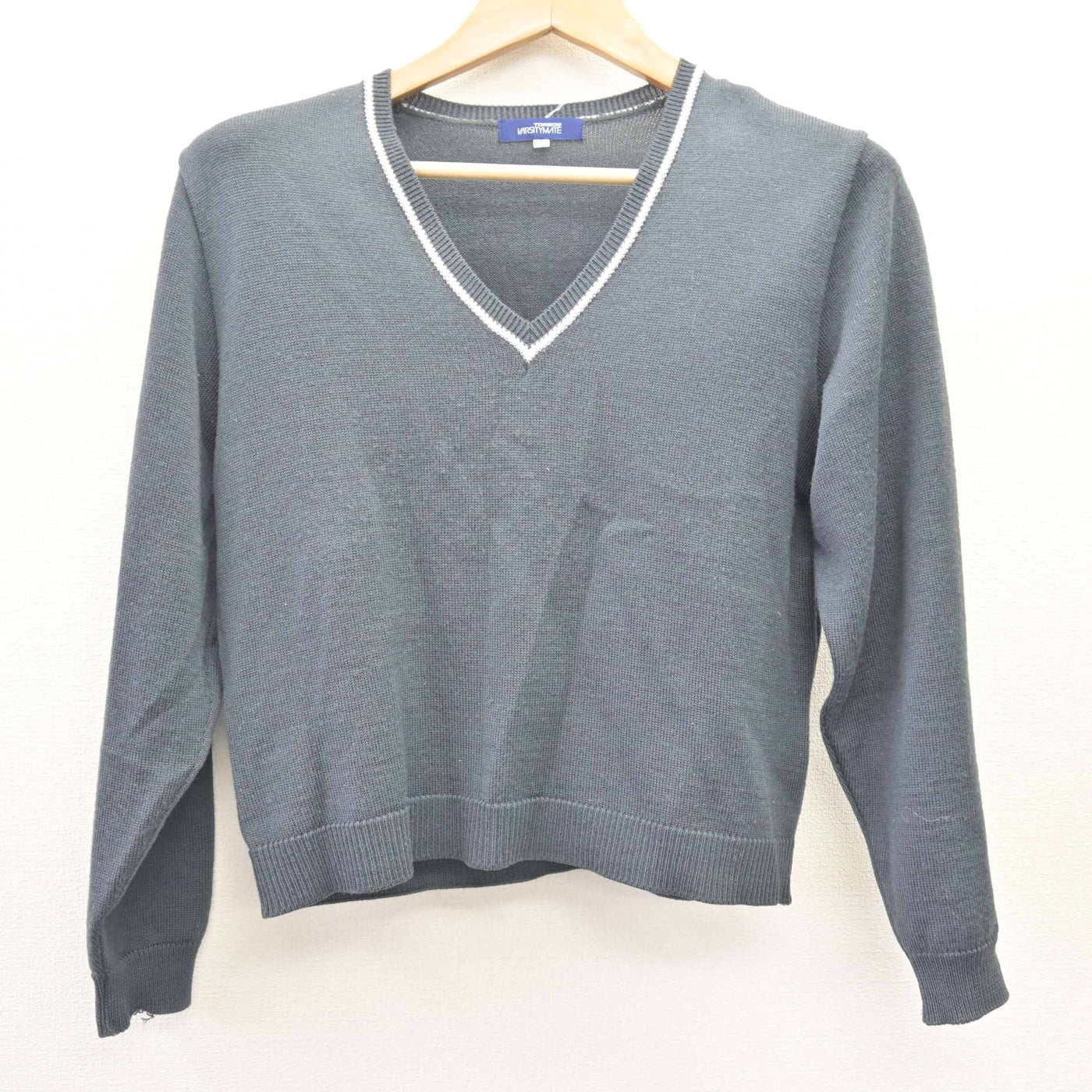 【中古】宮崎県 宮崎南高等学校 女子制服 2点 (ニット・ニットベスト) sf114032