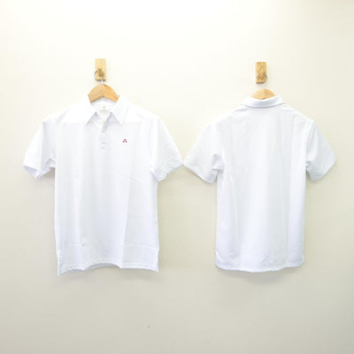 【中古】千葉県 清水高等学校 女子制服 3点 (シャツ・スカート) sf114108