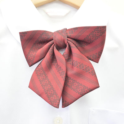 【中古】福岡県 福岡市内中学標準服 女子制服 3点 (シャツ・スカート) sf114225